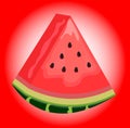 Watermelon sliceon the red background. Vector illustration