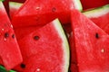 Watermelon slices Royalty Free Stock Photo