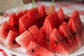 Watermelon Slices on dish Royalty Free Stock Photo