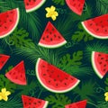 Watermelon tropical seamless pattern Royalty Free Stock Photo