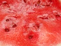 Watermelon slices. Watermelon ordinary. Already in Ancient Egypt people knew and cultivated watermelons.