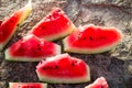 watermelon slices on a rock