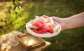 Watermelon slices on a white plate held by a woman`s hand. Wasp flies over watermelons. Summer picnic in the yard