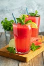 Watermelon slushie with lime and mint, summer refreshing drink in tall glasses on a light blue background. Sweet cold Royalty Free Stock Photo