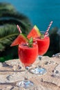 Watermelon smoothie on summer holidays by the sea view.