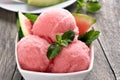 Watermelon sorbet ice cream Royalty Free Stock Photo