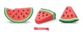 Watermelon summer fruit. Plasticine art illustration 3d vector icon set