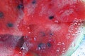 Watermelon . A summer treat.Wet & wild Royalty Free Stock Photo