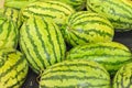 Watermelon Royalty Free Stock Photo