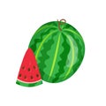 Watermelon Sweet Fruit Sliced Exotic Berry Icon