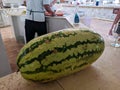 Watermelon is on the table in a restaurant in a Cuban hotel Tryp Cayo Coco