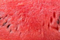 Watermelon texture background. Close up red watermelon texture surface with seed Royalty Free Stock Photo