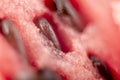 Watermelon texture close up. Background of Watermelon with seeds Royalty Free Stock Photo