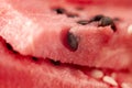 Watermelon texture close up. Background of Watermelon with seeds Royalty Free Stock Photo