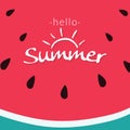 Watermelon texture for tropical fruit background. piece of half