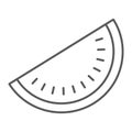 Watermelon thin line icon, fruit and vitamin