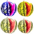 Watermelon three colors