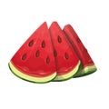 Watermelon, three sliced pieces