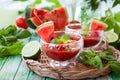 Watermelon Tomato Gazpacho Royalty Free Stock Photo