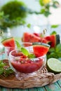 Watermelon Tomato Gazpacho Royalty Free Stock Photo