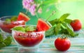 Watermelon Tomato Gazpacho Royalty Free Stock Photo