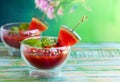 Watermelon Tomato Gazpacho Royalty Free Stock Photo