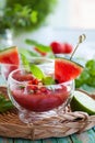 Watermelon Tomato Gazpacho Royalty Free Stock Photo