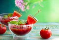 Watermelon Tomato Gazpacho Royalty Free Stock Photo