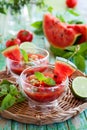 Watermelon Tomato Gazpacho Royalty Free Stock Photo