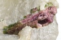Watermelon tourmaline Royalty Free Stock Photo