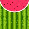 Watermelon vector background