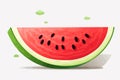 Watermelon vector flat minimalistic isolated vector style illustration