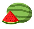 Watermelon vector.Fresh watermelon illustration Royalty Free Stock Photo