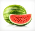 Watermelon, vector icon