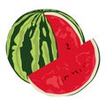 Watermelon vector icon on a white background. Fruit illustration isolated on white. Vitamin realistic style design