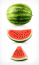 Watermelon, vector icons