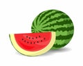 Watermelon illustration image. fresh watermelon