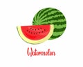 Watermelon illustration image. fresh watermelon. Watermelon cartoon picture