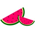 Watermelon vector pink