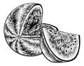 Watermelon Vintage Woodcut Engraved Style Drawing