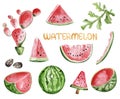 Watermelon watercolor element set - watermelon slices Royalty Free Stock Photo