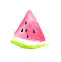 Watermelon. watercolor illustration
