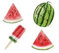 Watermelon Watercolor illustrations set of summer botanical decorations greeting card design Royalty Free Stock Photo