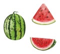 Watermelon Watercolor illustrations set of summer botanical decorations greeting card design Royalty Free Stock Photo