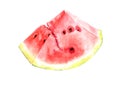 Watermelon. Watercolor painting on white background