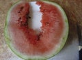 Watermelon and watermelon pieces long.