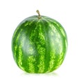 Watermelon on white background. Watermelon berry fruit. Full depth of field Royalty Free Stock Photo