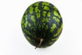 Watermelon on a white background. Different angles. View from above. Isolated on white. Place for writing. Whole Royalty Free Stock Photo