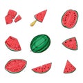 Watermelon whole and sliced color illustrations set