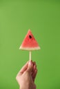 Watermelon on a wooden stick